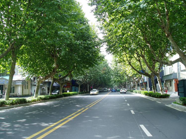 青島庭院設(shè)計,青島別墅景觀設(shè)計 青島庭院設(shè)計,青島別墅景觀設(shè)計