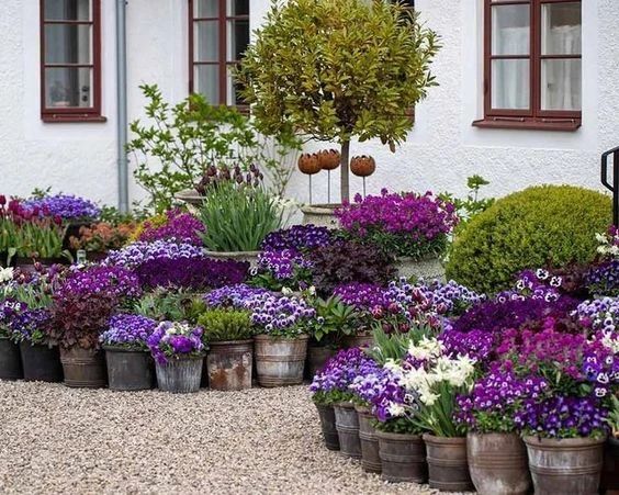 容器花園創(chuàng)意：在小空間種植植物，看看有合適你的嗎？