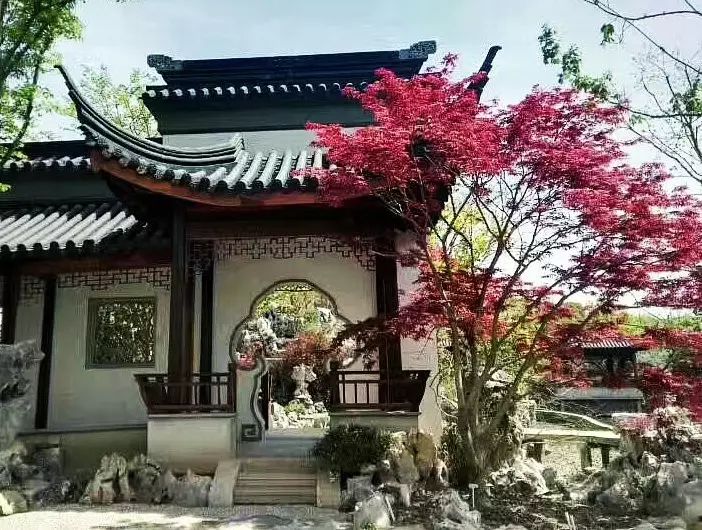 疏密曲直，起承轉(zhuǎn)合，中式院落布局的藝術(shù)