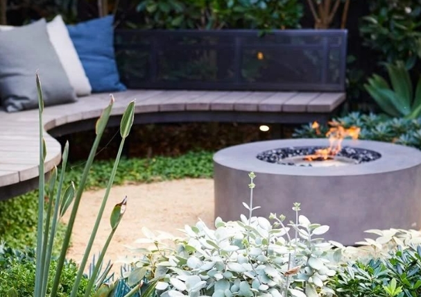 七款銀色系高級野生感植物