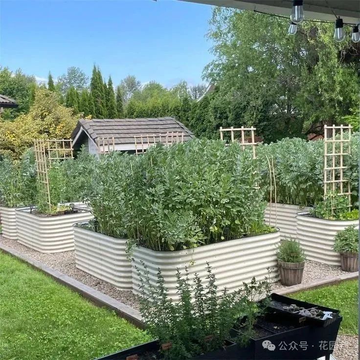 建造花園應(yīng)該關(guān)注哪些問題？