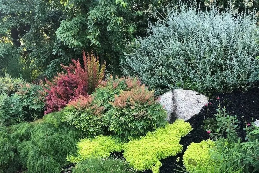 用葉子設(shè)計花園