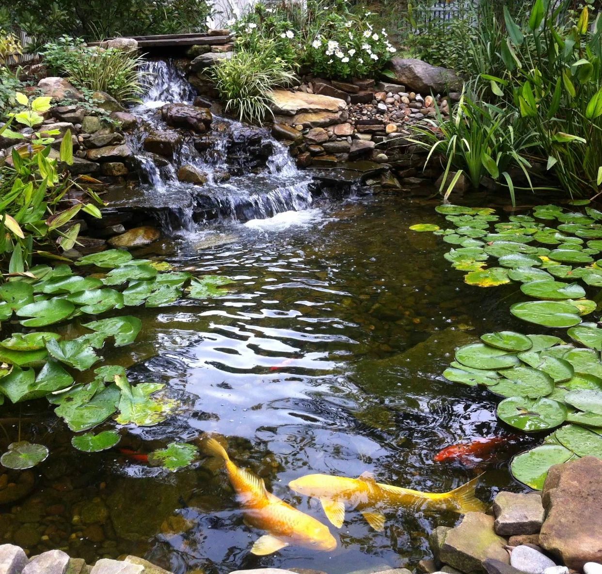 庭院水景作為氛圍感的象征，魚池必不可少！