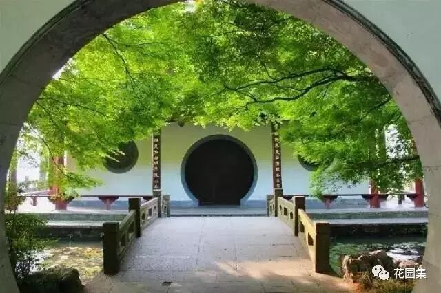 庭院之中來扇月洞門，滿滿的氛圍感！